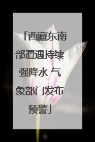 西藏东南部遭遇持续强降水 气象部门发布预警