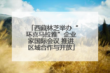 西藏林芝举办“环喜马拉雅”企业家国际会议 推进区域合作与开放