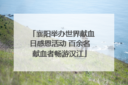 襄阳举办世界献血日感恩活动 百余名献血者畅游汉江