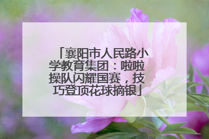 襄阳市人民路小学教育集团：啦啦操队闪耀国赛，技巧登顶花球摘银