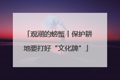 观潮的螃蟹丨保护耕地要打好“文化牌”