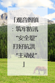 观音阁镇：筑牢防汛“安全堤” 打好抗洪“主动仗”