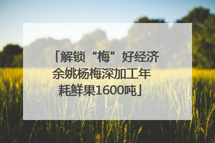 解锁“梅”好经济 余姚杨梅深加工年耗鲜果1600吨