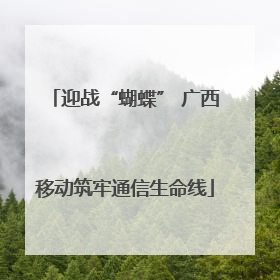 迎战“蝴蝶” 广西移动筑牢通信生命线