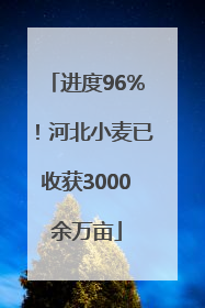 进度96%！河北小麦已收获3000余万亩
