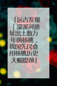 远古发现｜濛溪河遗址出土数万年前核桃，我国先民食用核桃历史大幅提前