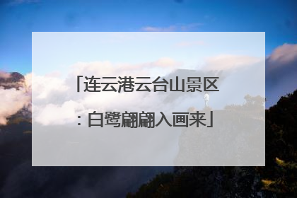 连云港云台山景区：白鹭翩翩入画来