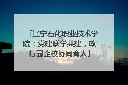 辽宁石化职业技术学院：党建联学共建，政行园企校协同育人