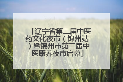 辽宁省第二届中医药文化夜市（锦州站）暨锦州市第二届中医康养夜市启幕