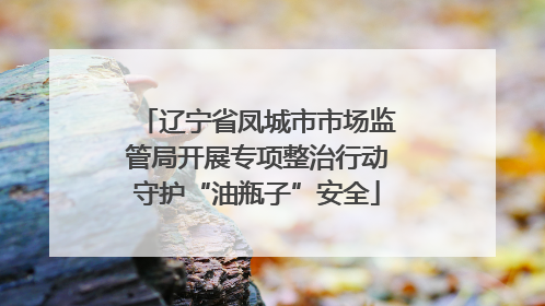 辽宁省凤城市市场监管局开展专项整治行动守护“油瓶子”安全