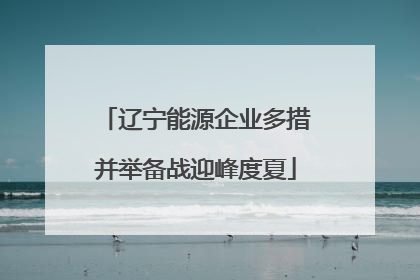 辽宁能源企业多措并举备战迎峰度夏