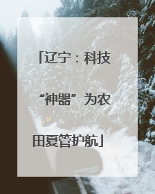 辽宁：科技“神器”为农田夏管护航