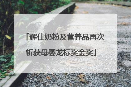 辉仕奶粉及营养品再次斩获母婴龙标奖金奖