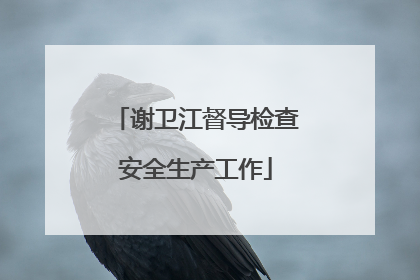 谢卫江督导检查安全生产工作