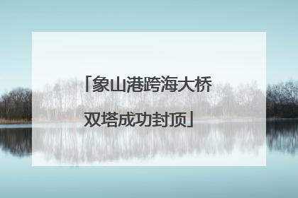 象山港跨海大桥双塔成功封顶