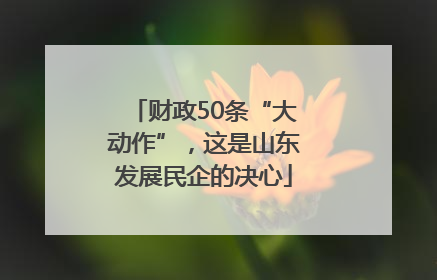 财政50条“大动作”，这是山东发展民企的决心
