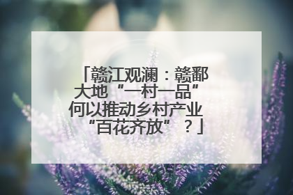 赣江观澜：赣鄱大地“一村一品”何以推动乡村产业“百花齐放”？