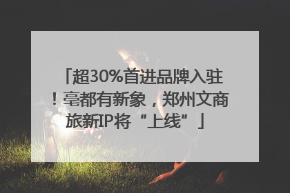 超30%首进品牌入驻！亳都有新象，郑州文商旅新IP将“上线”