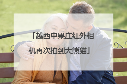 越西申果庄红外相机再次拍到大熊猫
