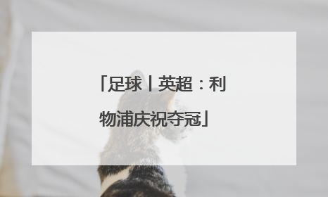 足球丨英超：利物浦庆祝夺冠