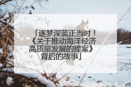 逐梦深蓝正当时！《关于推动海洋经济高质量发展的提案》背后的故事
