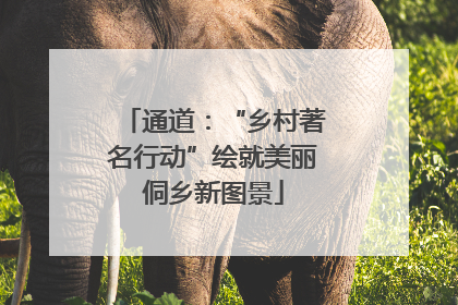 通道：“乡村著名行动”绘就美丽侗乡新图景