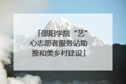 邵阳学院“艺”心志愿者服务站助推和美乡村建设