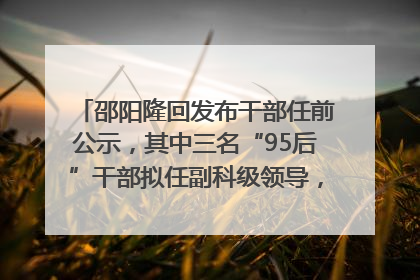 邵阳隆回发布干部任前公示，其中三名“95后”干部拟任副科级领导，均系硕士选调生