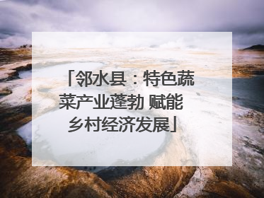 邻水县：特色蔬菜产业蓬勃 赋能乡村经济发展