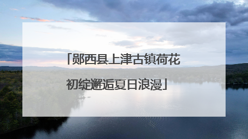 郧西县上津古镇荷花初绽邂逅夏日浪漫