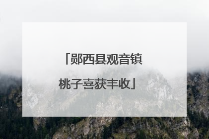 郧西县观音镇桃子喜获丰收