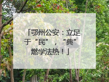 鄂州公安：立足于“民”，“典”燃学法热！