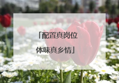 配置真岗位 体味真乡情