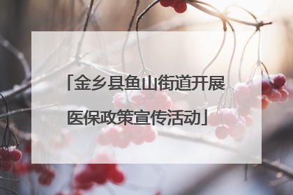 金乡县鱼山街道开展医保政策宣传活动