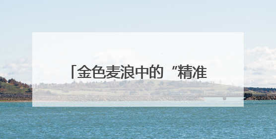 金色麦浪中的“精准较量”石家庄市开展小麦机收减损大比武