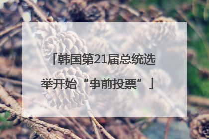 韩国第21届总统选举开始“事前投票”