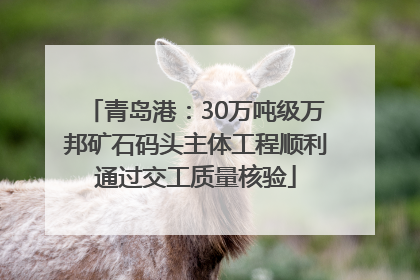 青岛港：30万吨级万邦矿石码头主体工程顺利通过交工质量核验