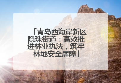 青岛西海岸新区隐珠街道：高效推进林业执法，筑牢林地安全屏障