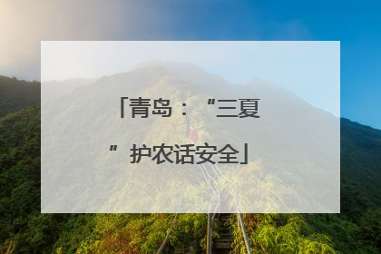 青岛：“三夏”护农话安全