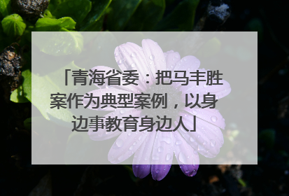 青海省委：把马丰胜案作为典型案例，以身边事教育身边人