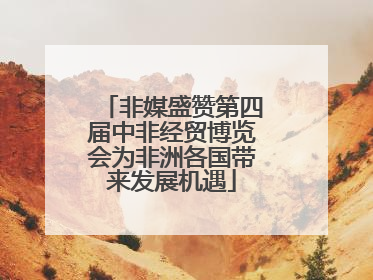 非媒盛赞第四届中非经贸博览会为非洲各国带来发展机遇
