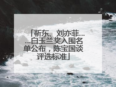 靳东、刘亦菲……白玉兰奖入围名单公布，陈宝国谈评选标准
