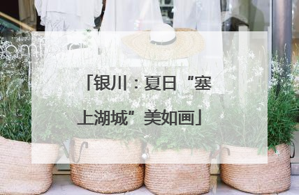 银川：夏日“塞上湖城”美如画