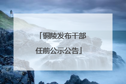铜陵发布干部任前公示公告