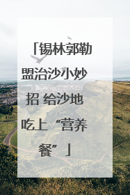 锡林郭勒盟治沙小妙招 给沙地吃上“营养餐”