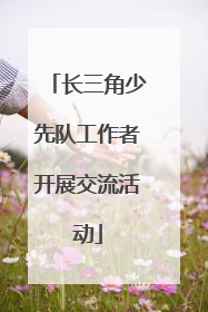 长三角少先队工作者开展交流活动