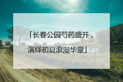 长春公园芍药盛开，演绎初夏浪漫华章
