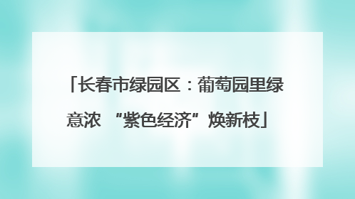 长春市绿园区：葡萄园里绿意浓 “紫色经济”焕新枝