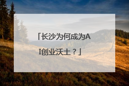 长沙为何成为AI创业沃土？