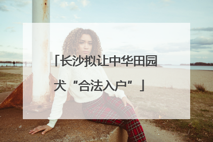 长沙拟让中华田园犬“合法入户”